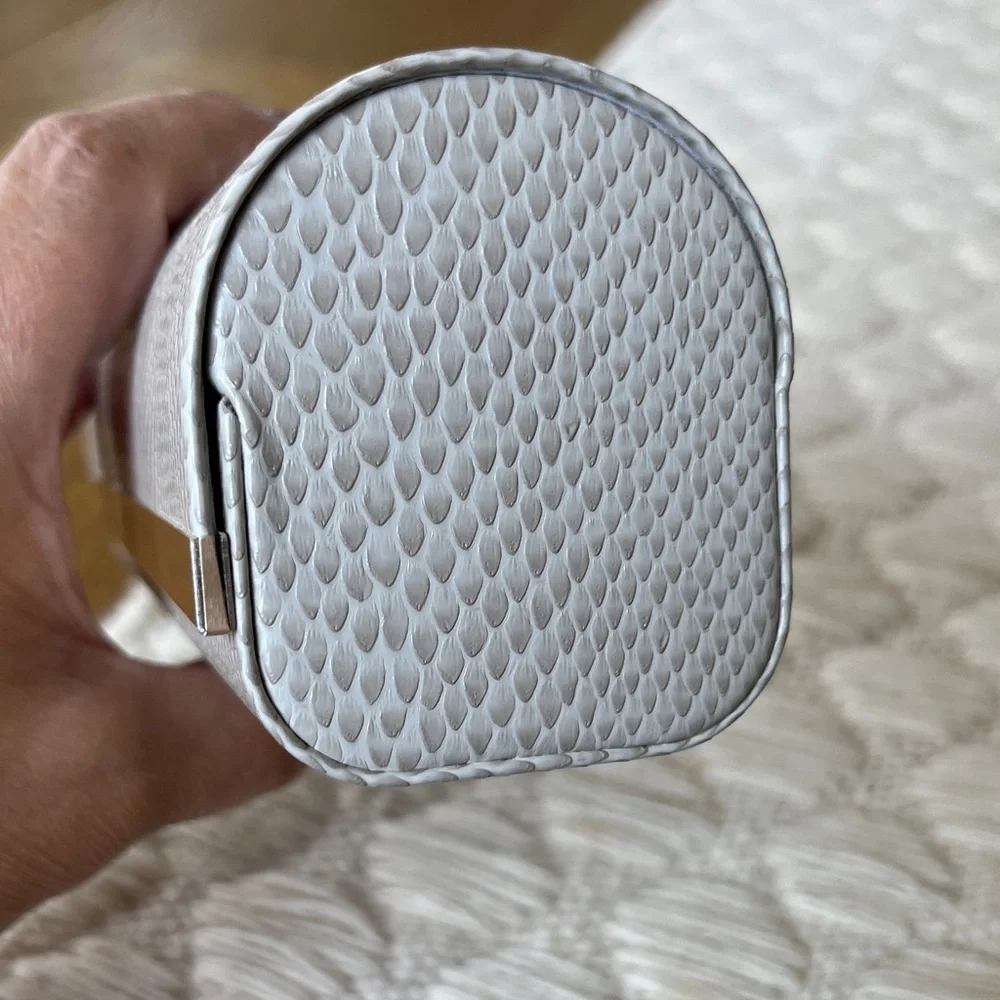 Jimmy Choo Beige Snake Print Sunglasses Case